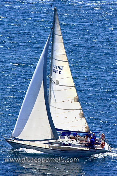 40D_12425_2rid.jpg