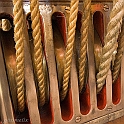 IMG_0526_1
