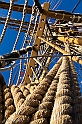 IMG_0615_1